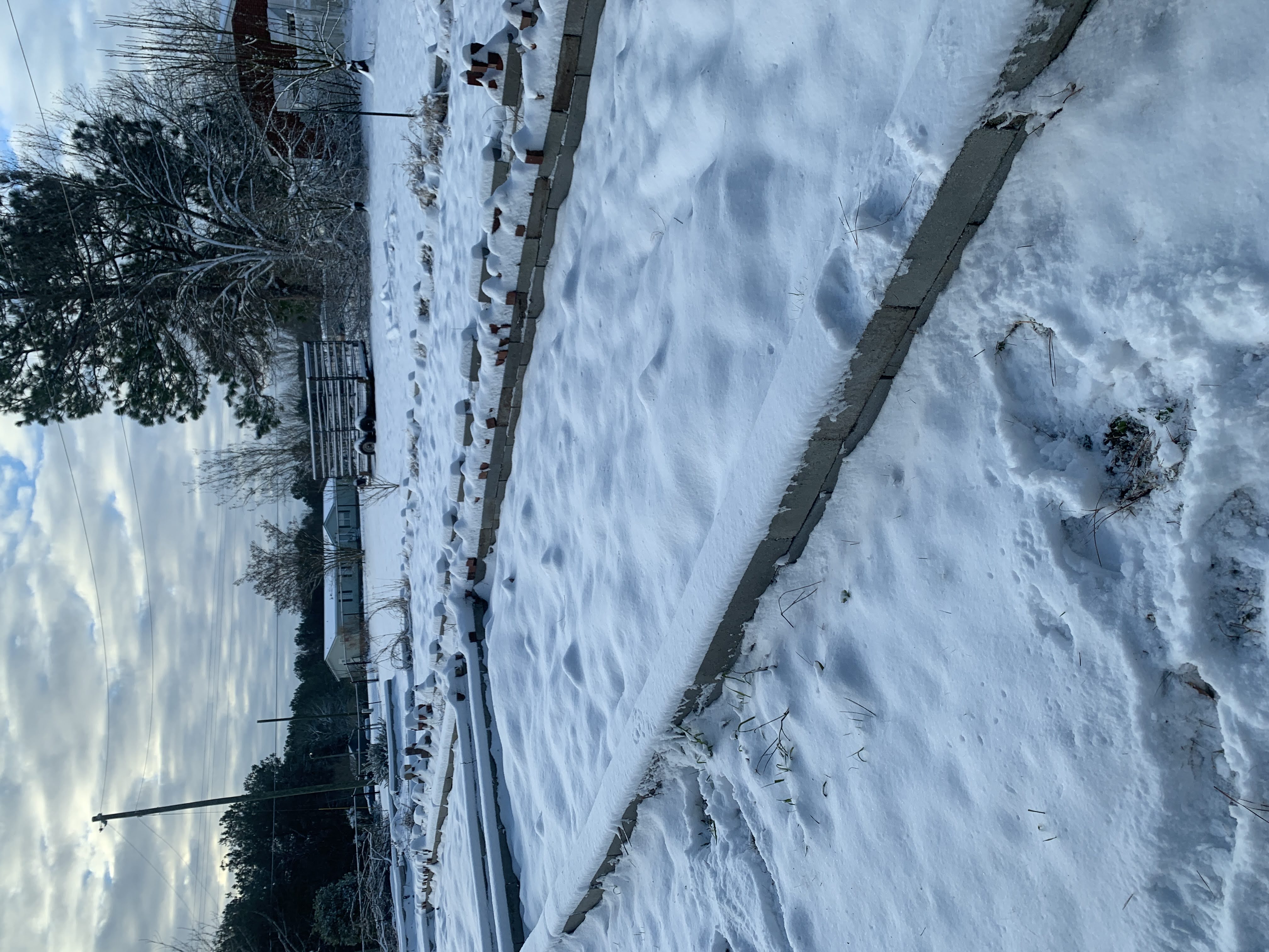 Snowday